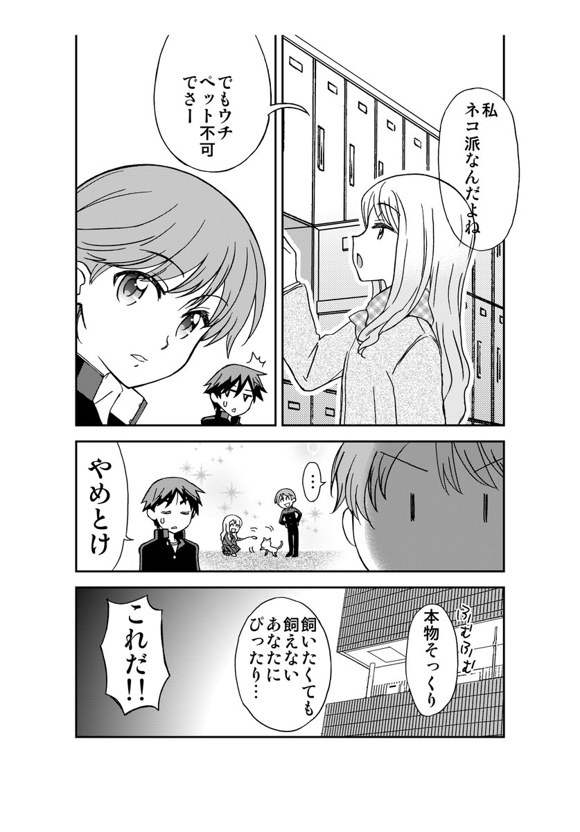通販少年、ネコ(?)をお迎えする。その1 