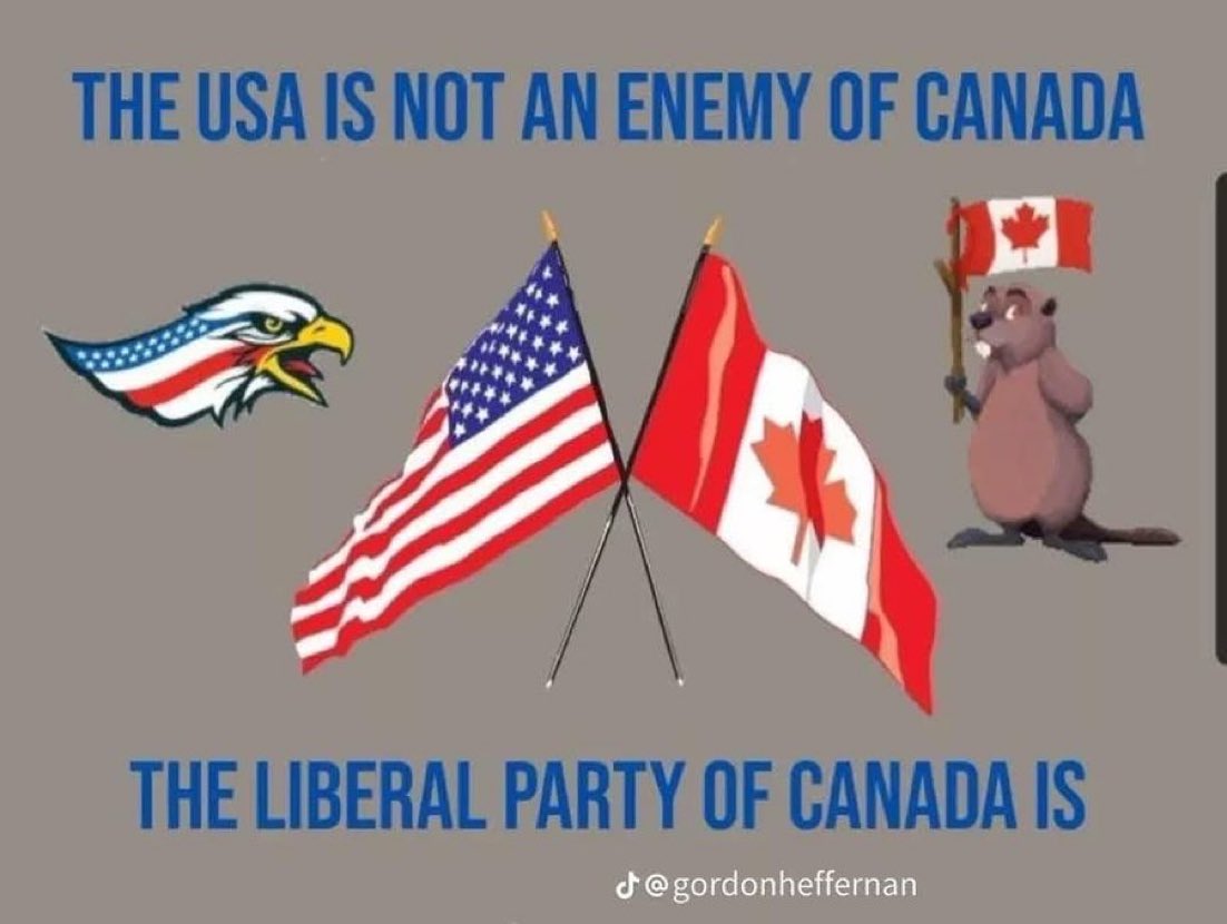 Concerned Canadian tweet media