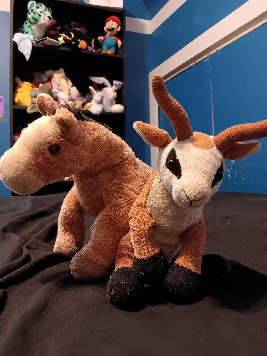 Kage Wolf 🔜LVFC2026 tweet media