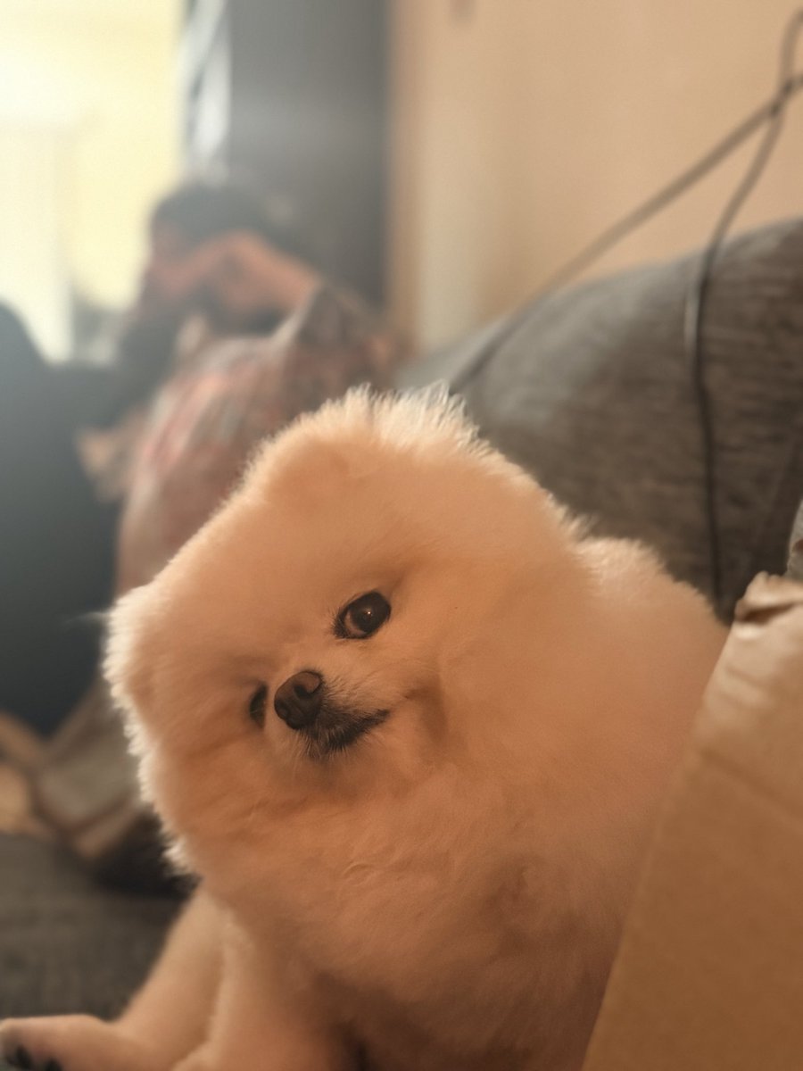 l0litsmonica.bsky.social tweet media