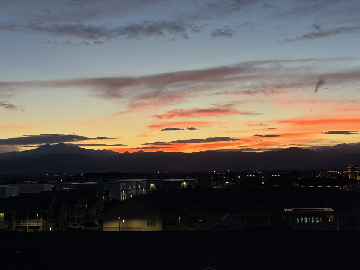 brian herring tweet media