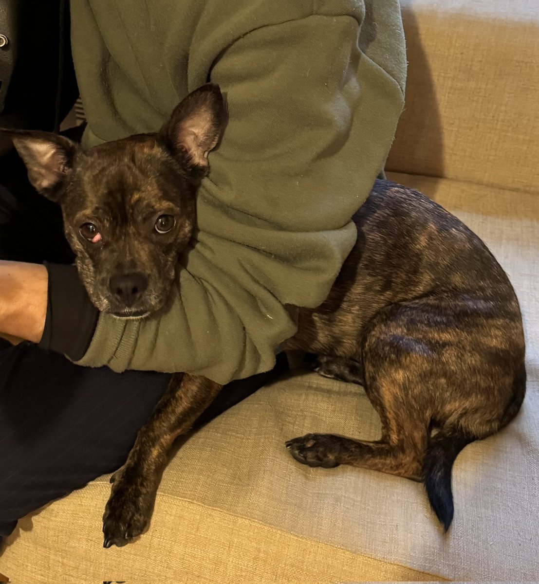 Scott Laudati tweet media