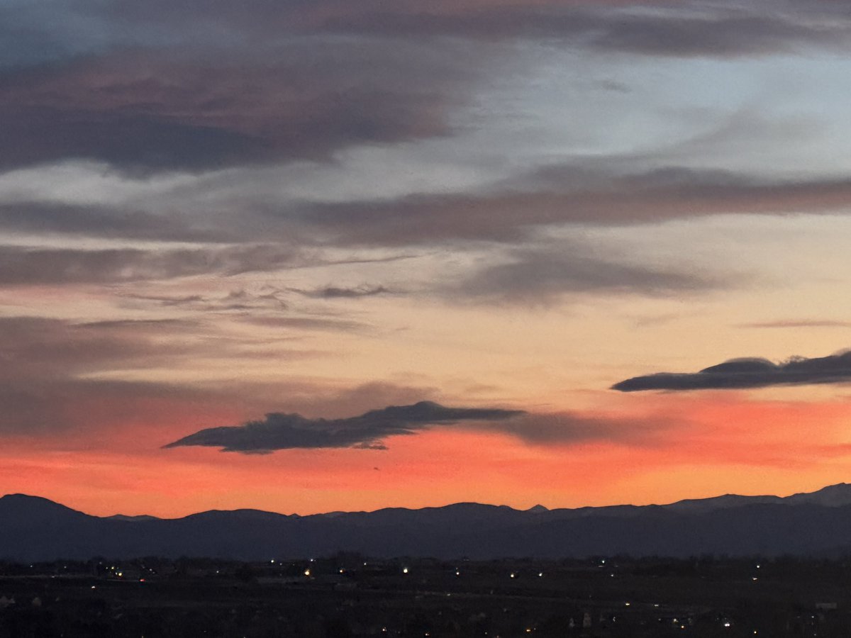 brian herring tweet media