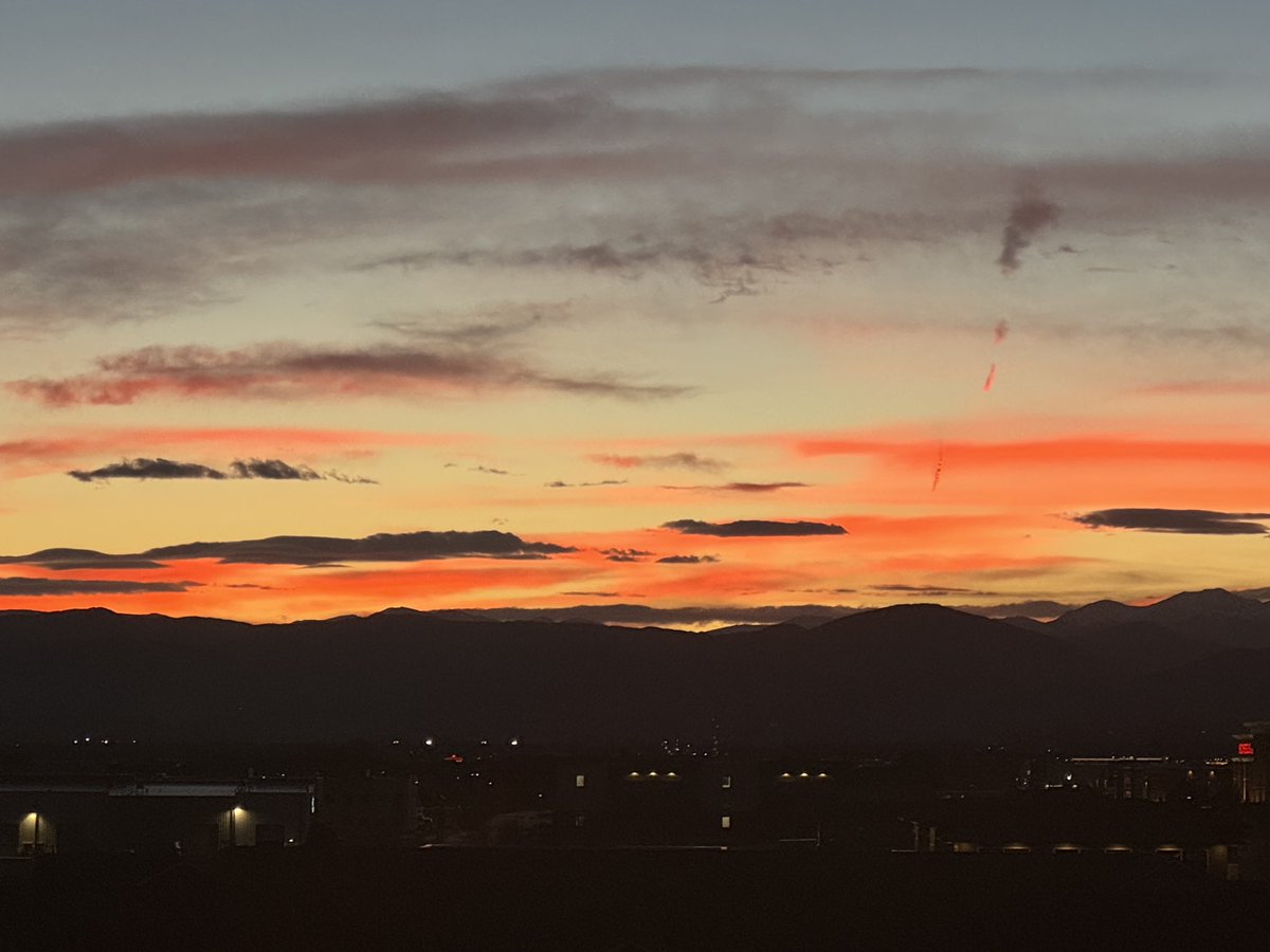 brian herring tweet media