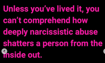 The Narcissist Box tweet media