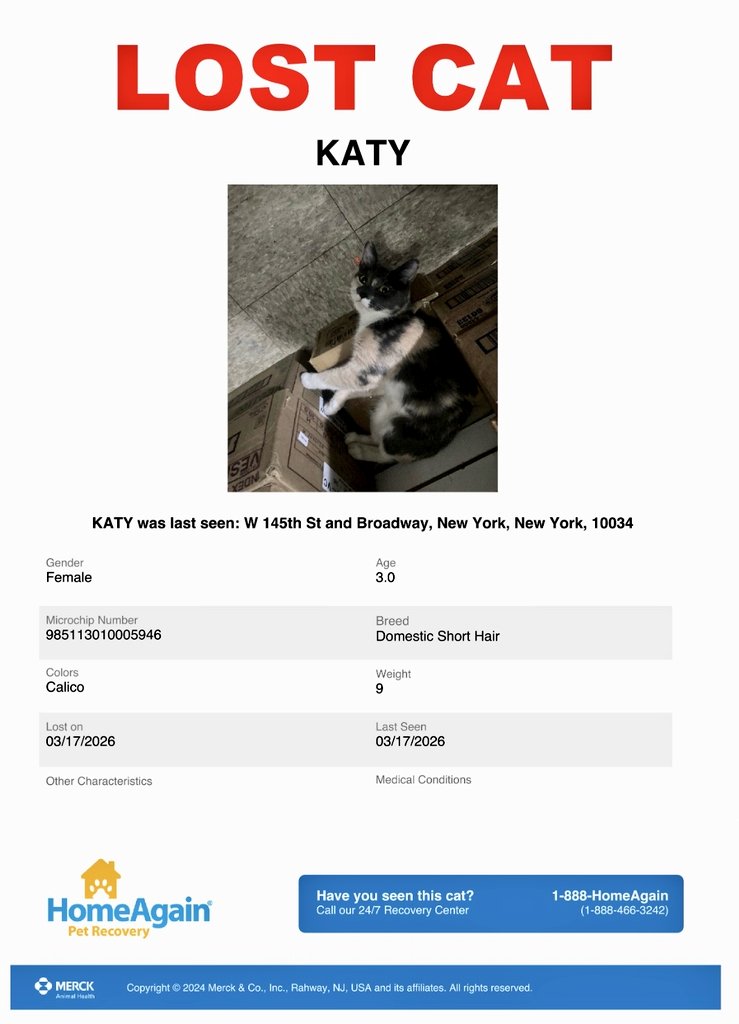 📢🗽🇺🇸🆘️⏳️🚨💔😿Please RT to find Katy #NYC #missingcat #lostcat #Manhattan #CatsOfTwitter #CatsOfX <a href="/HAPetRescuer/">HomeAgain PetRescuer</a>