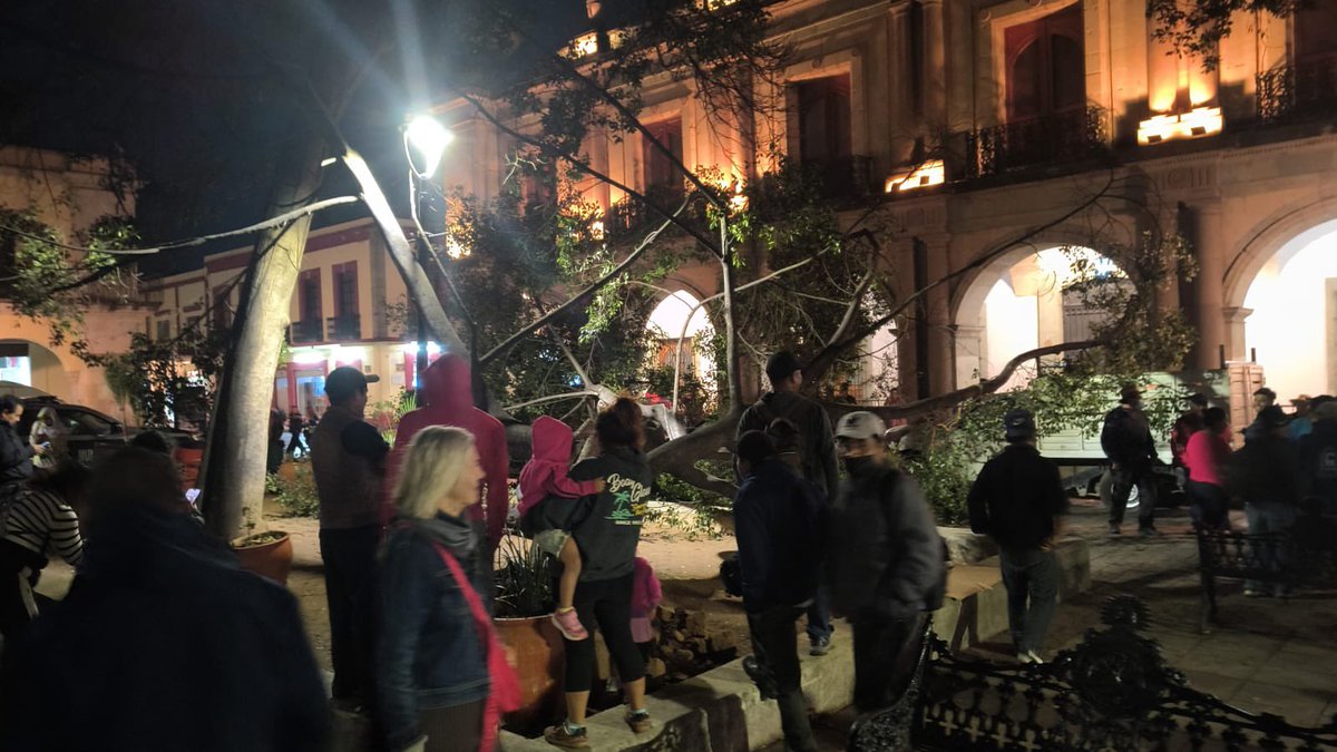 ZonaRoja_Oaxaca's tweet photo. #AlMomento 
Otra tragedia ecológica: esta noche cae un árbol en el zócalo de la ciudad de Oaxaca, debido a los fuertes vientos. https://t.co/ANYSfqVFvp