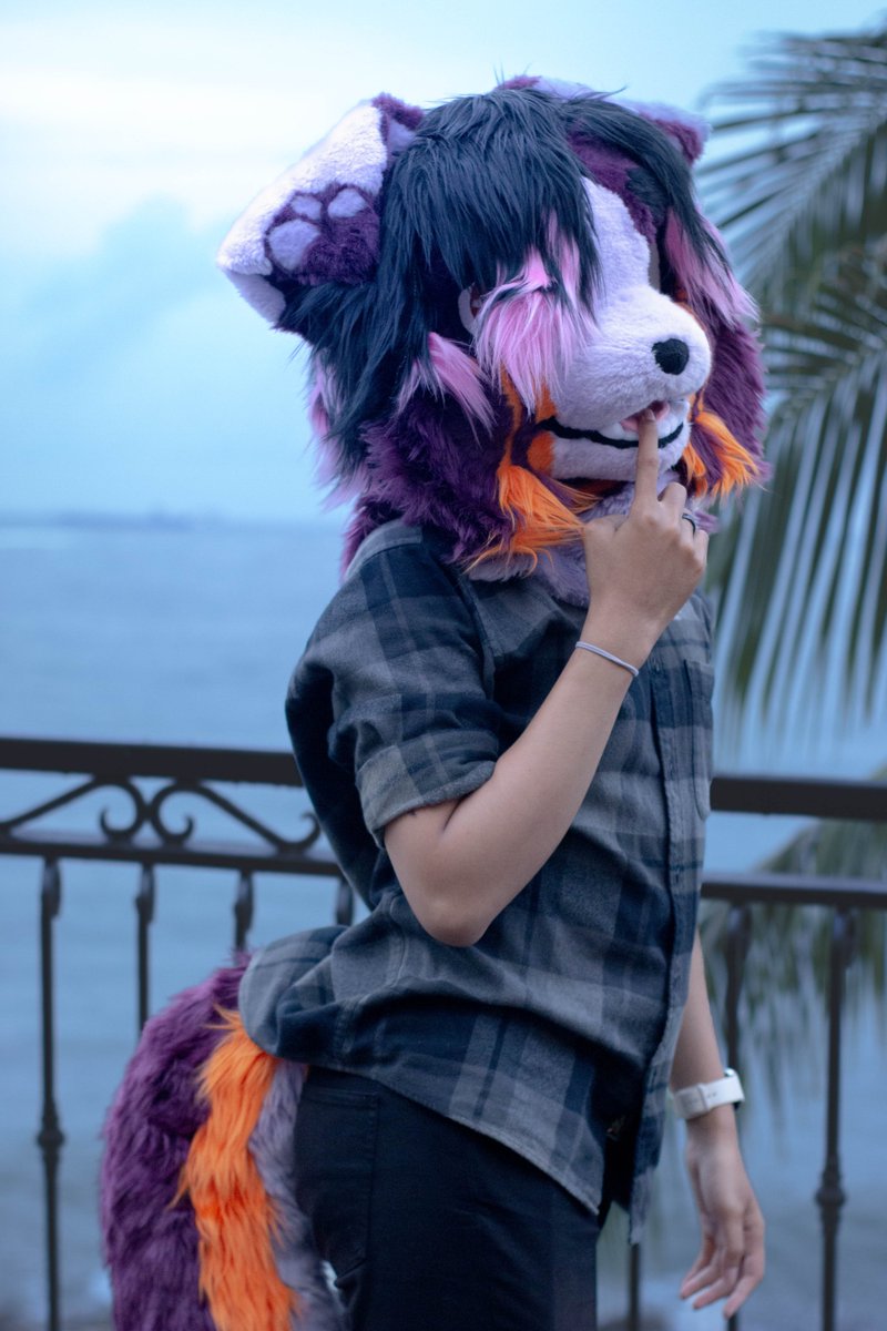 Jax Collie tweet media