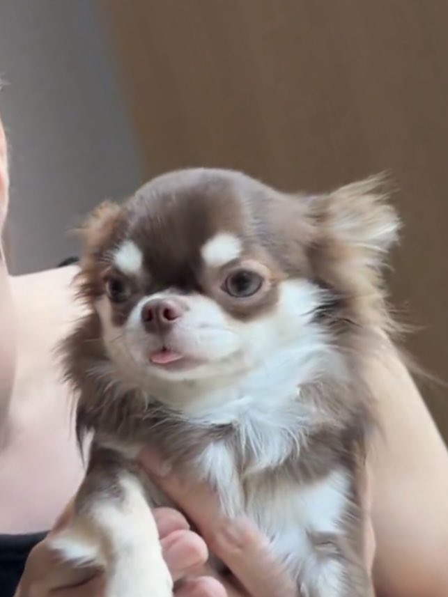 เป๊ะ เอาไปต้ม