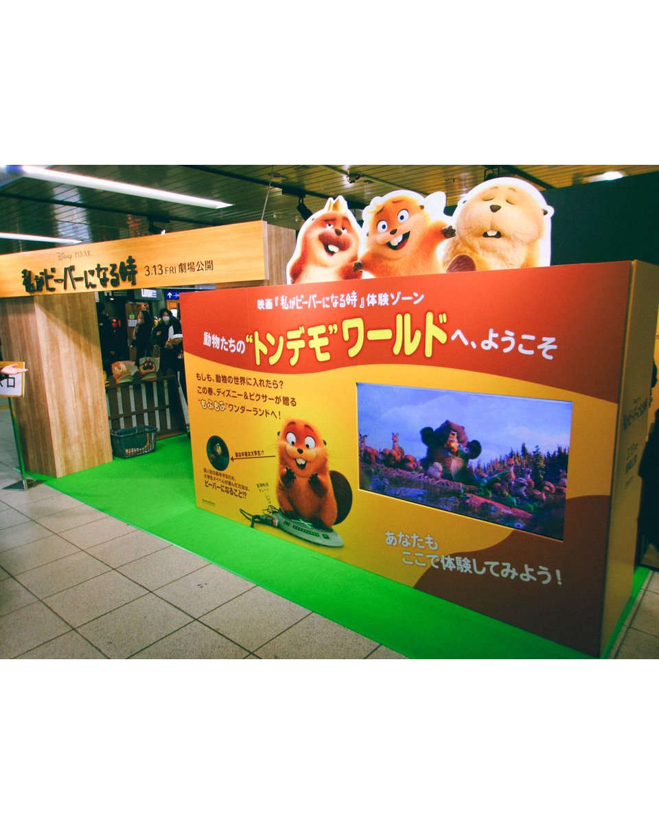 わた丘 ビバ子（わたビバ） tweet media