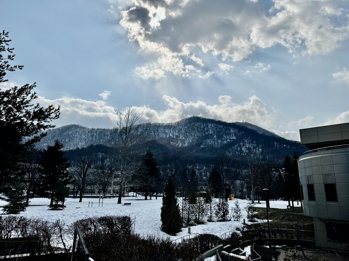 木元みき江 tweet media