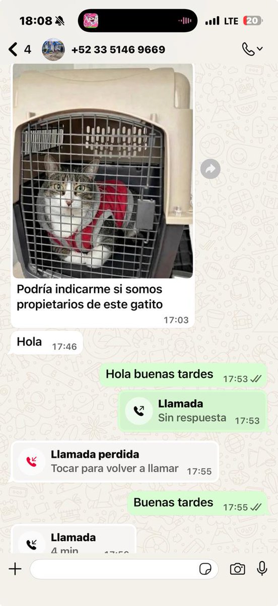 FUNDAPEPUEBLA's tweet photo. Qué tan miserable hay que ser para aprovecharse del dolor de alguien que busca a su gatita 😡🐾

Están usando imágenes hechas con IA (Gemini, ChatGPT, etc.) para engañar a personas preocupadas por sus animales. Mandan fotos con diferentes ángulos, pero si te fijas bien, siempre tienen errores o detalles raros.

⚠️ Ojo con esto, porque siempre es el mismo modus operandi:

- Dicen que no tienen cámara, solo fotos “casuales”
- Aseguran que iban pasando y encontraron al animal
- Se hacen pasar por Bienestar Animal (ellos NUNCA te contactan así)
- Dicen ser de una “fundación” (verifica siempre en páginas oficiales)
- Se presentan como veterinarios

💸 Y al final, lo mismo:
Te piden dinero para “transportadora”, “Uber”, “envío”, etc.

Cuando dudas o propones ir directamente a Bienestar Animal de tu municipio… se indignan o desaparecen.

🚨 Si has perdido a tu compañero:

- No deposites dinero
- Verifica siempre la información
- Exige pruebas reales (video en tiempo real, ubicación, etc.)
- Contacta directamente a las autoridades o asociaciones oficiales

No dejemos que se aprovechen del amor y la desesperación de las personas. Compartan para que más gente no caiga 🙏🐶🐱