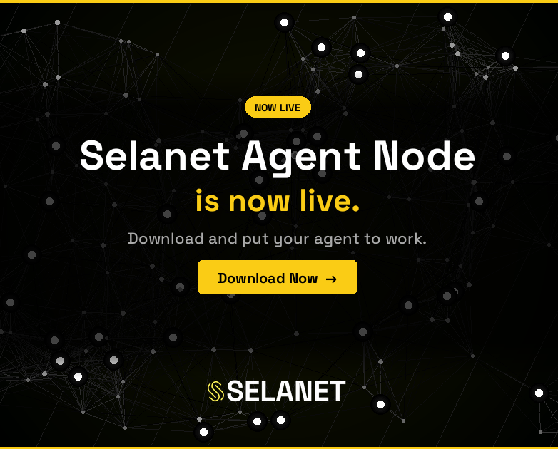 쏜 🌊RIVER 🐬TermMax 🤖ボッ to tweet media