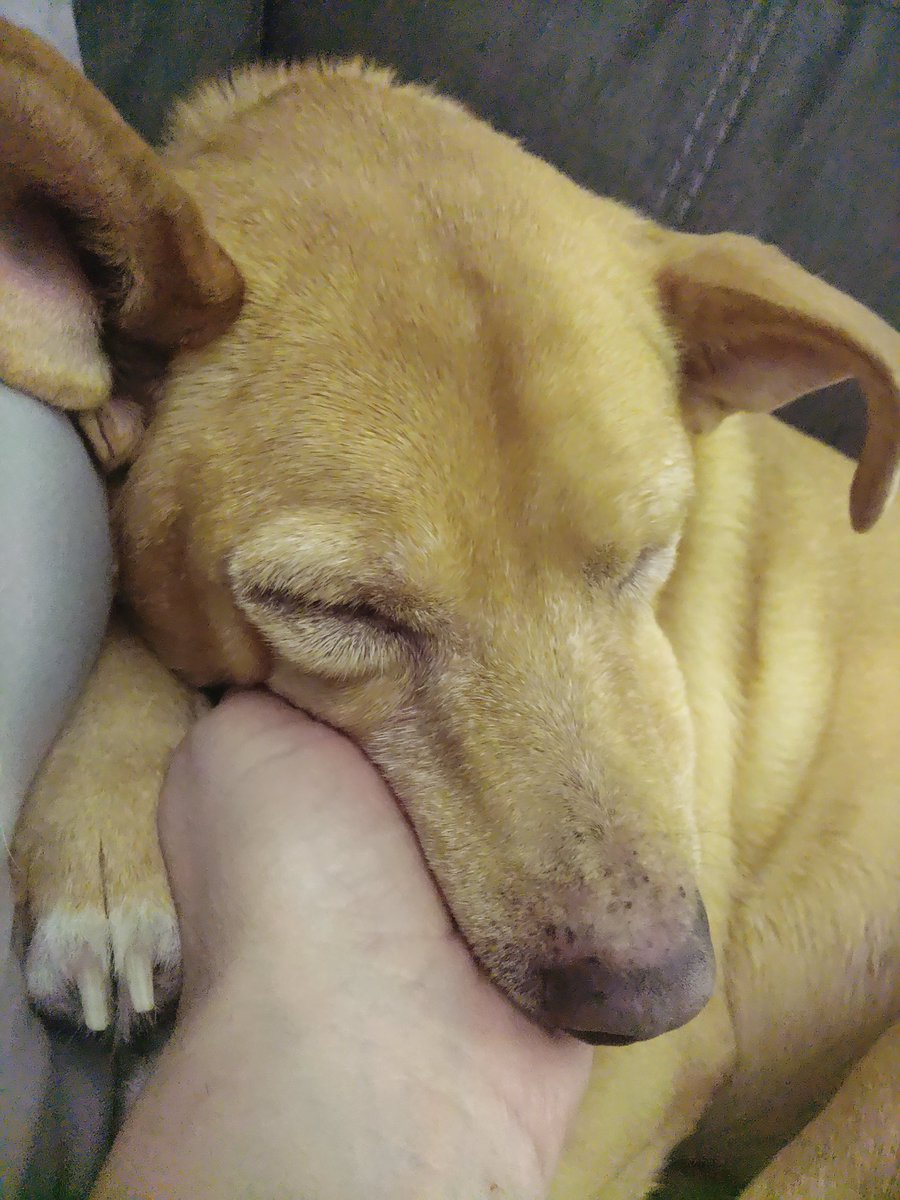 Lawrence tweet media