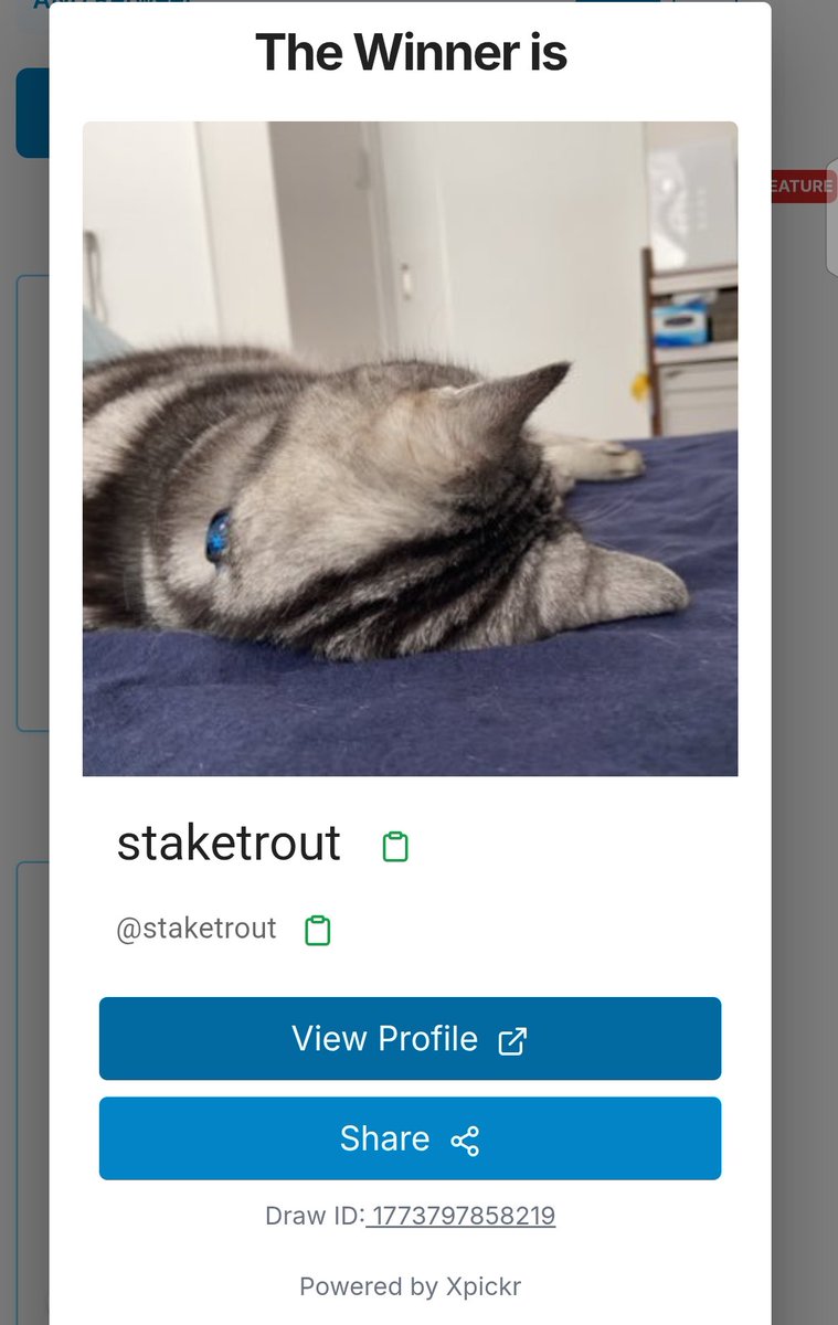 Stakeaccounts.org tweet media