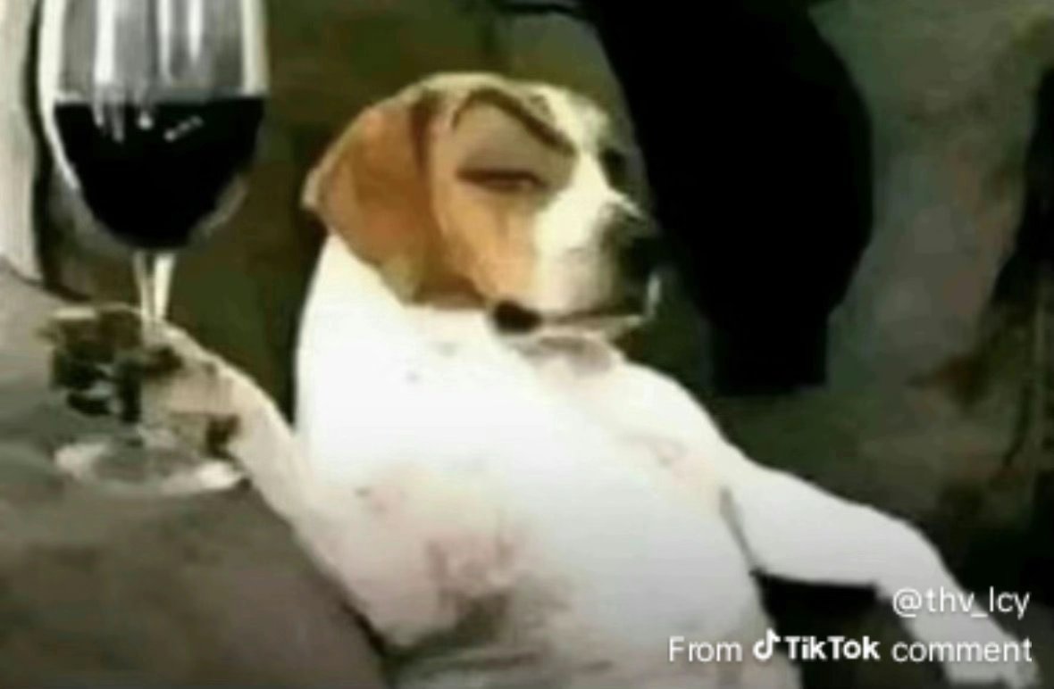 CodeNamePower tweet media