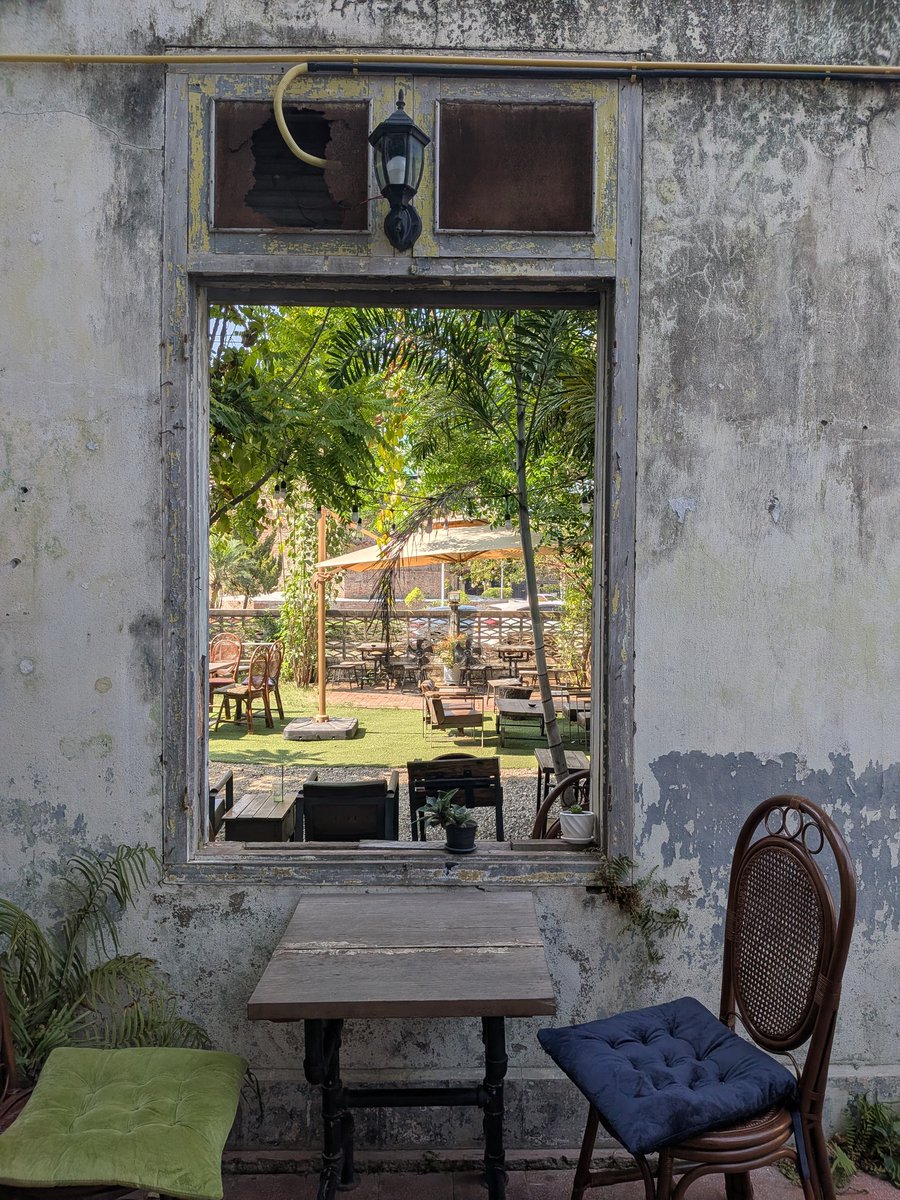 Masaaki Iwamoto tweet media