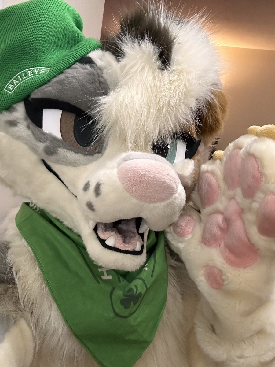 The Midnight Howl tweet media