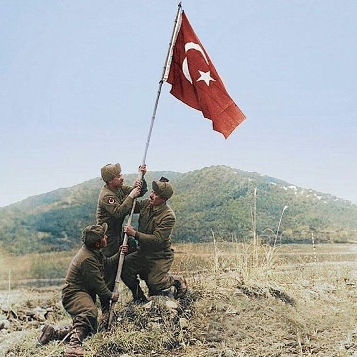 S🇹🇷 tweet media