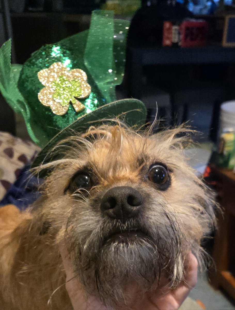 Stennie Rich tweet media