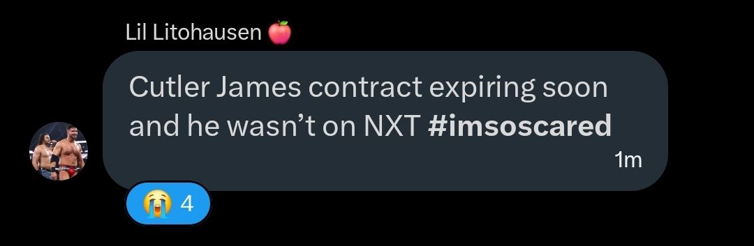 Adam Gibson tweet media