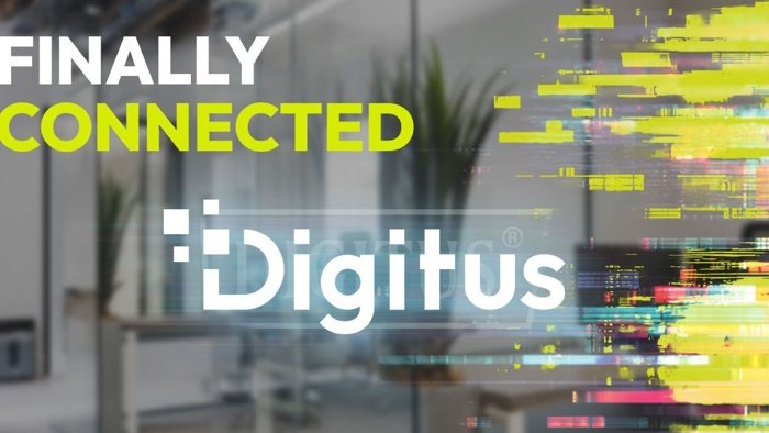 Marrón y Blanco tweet media