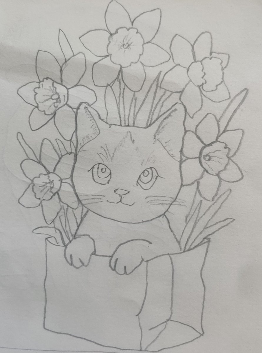 Secret AMEERZAADA (❖,❖) tweet media