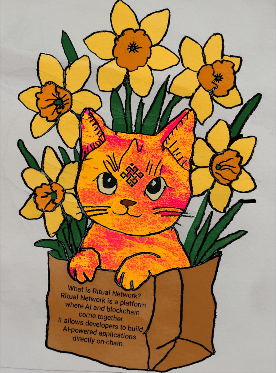 Secret AMEERZAADA (❖,❖) tweet media