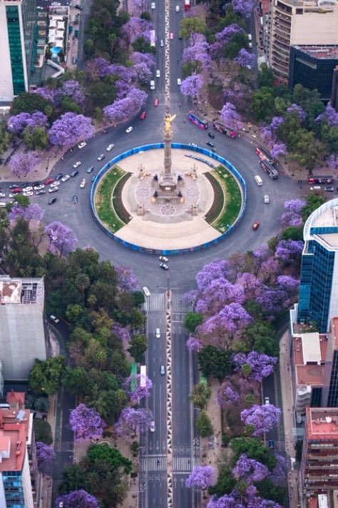 Tendencias en Argentina tweet media