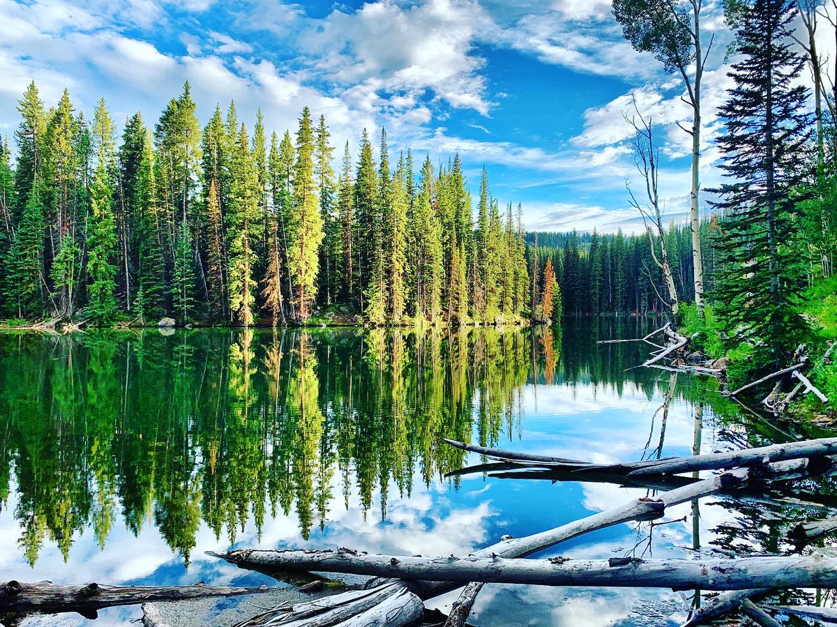 Visit Grand Junction tweet media