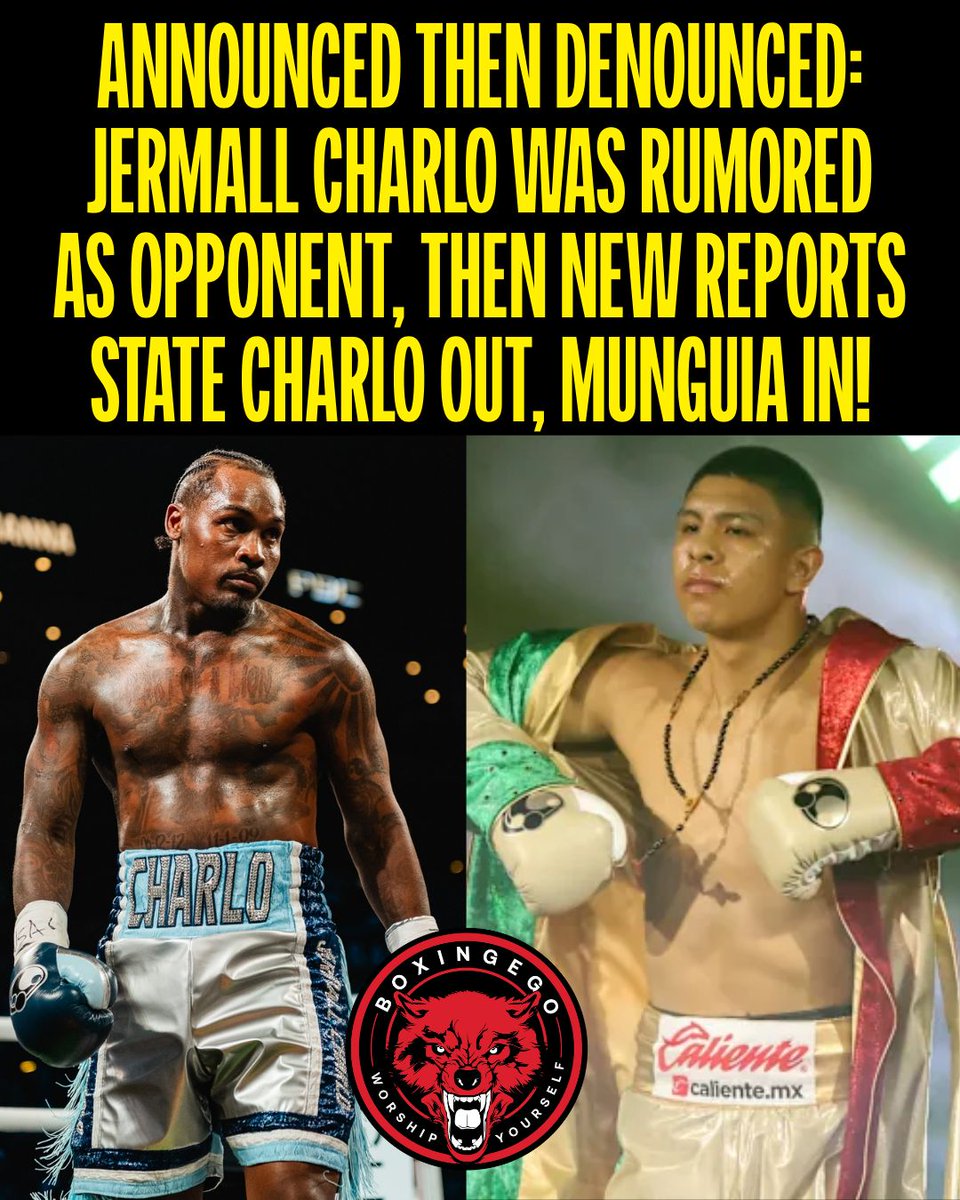 BOXINGEGO tweet media