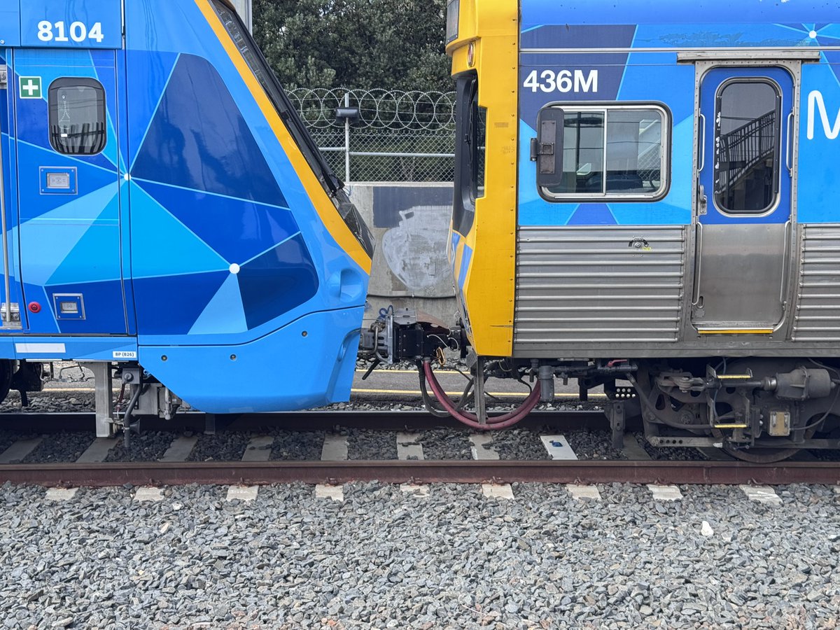 Aaron Carpenter tweet media