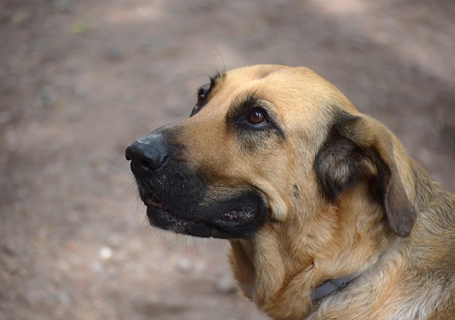 Tommy Patel tweet media