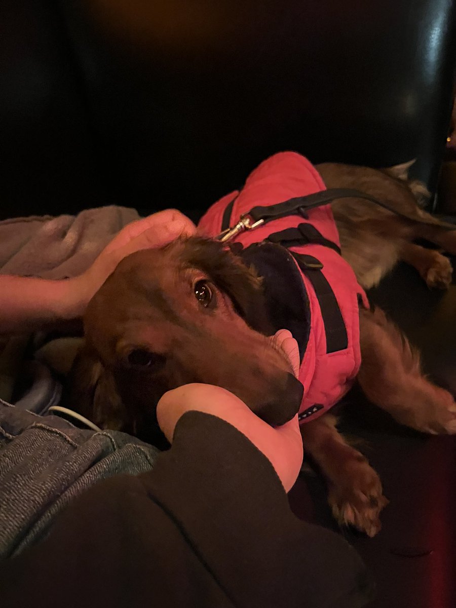 may 𖢂 tweet media