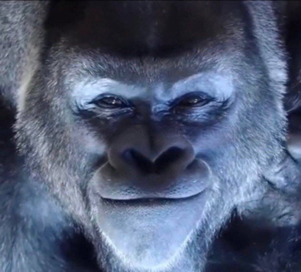 bondnote tweet media