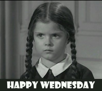 SheenaIsAPunkRocker 🧷🎸 tweet media