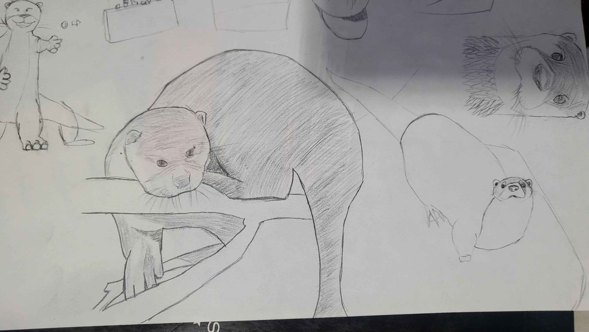 BeebeesBFF tweet media