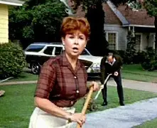 Crystal Harrison tweet media