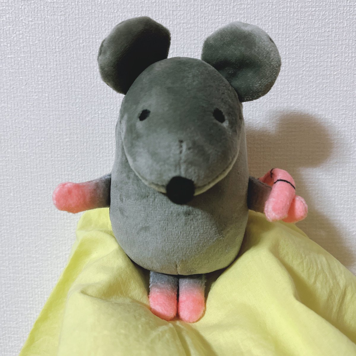 데굴쥐 tweet media