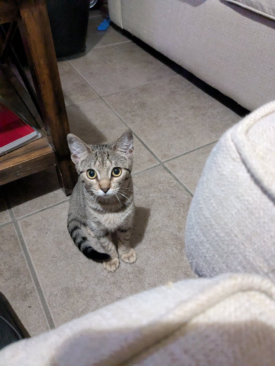 Psych Rewatch 🍍🍍🍍🍍 tweet media