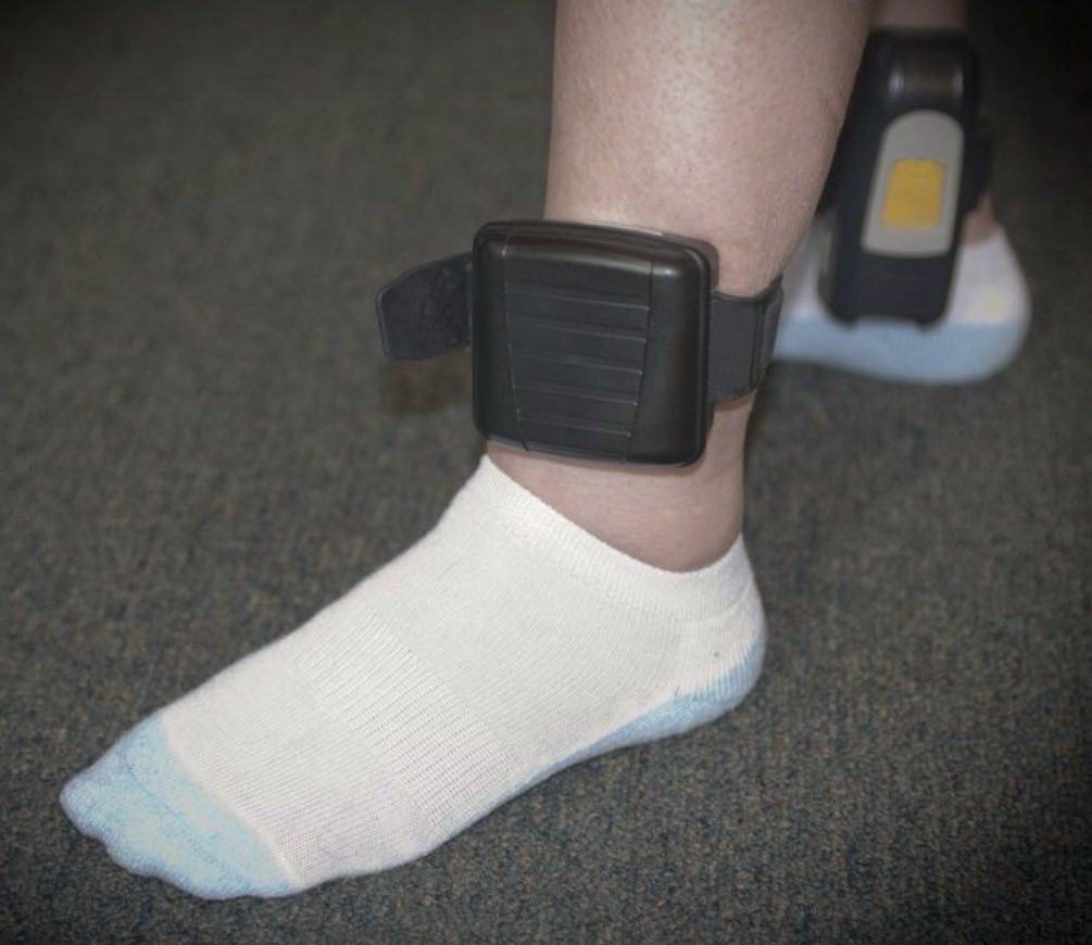 Georgia Bennett-Murphy tweet media