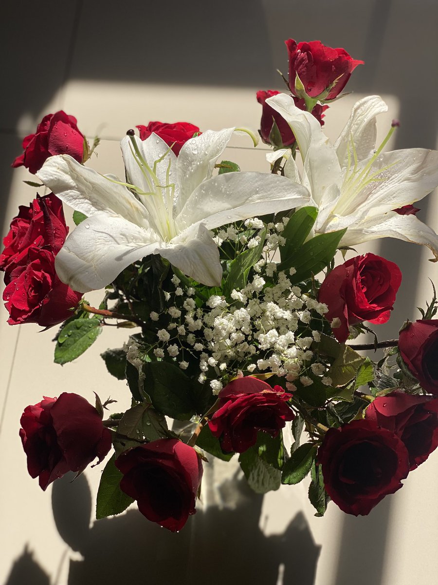 Having fun tweet media