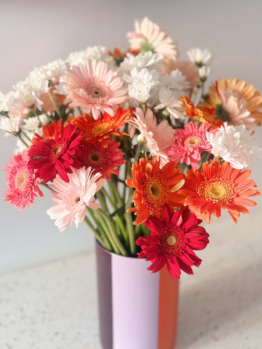 D I E L A tweet media