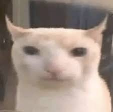 tomik.sol tweet media