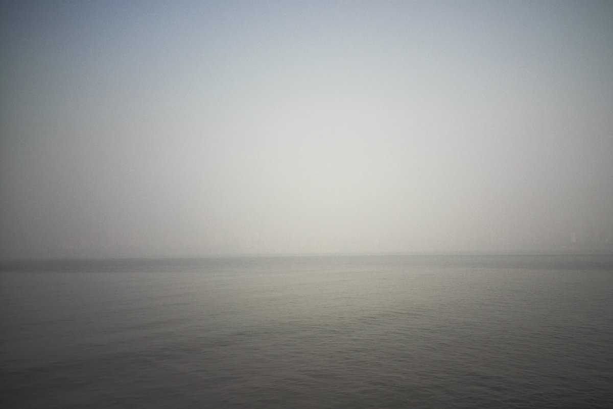 Bazil Day 🐈‍⬛ tweet media