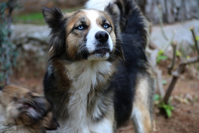 Greg Ransom tweet media