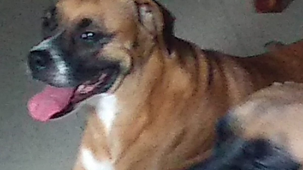 🐻🎀 SoyRikku 🎀 🐻 💚VGEN tweet media