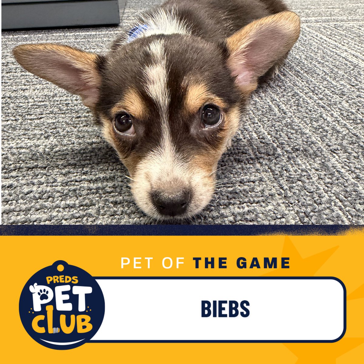 Nashville Predators Foundation tweet media