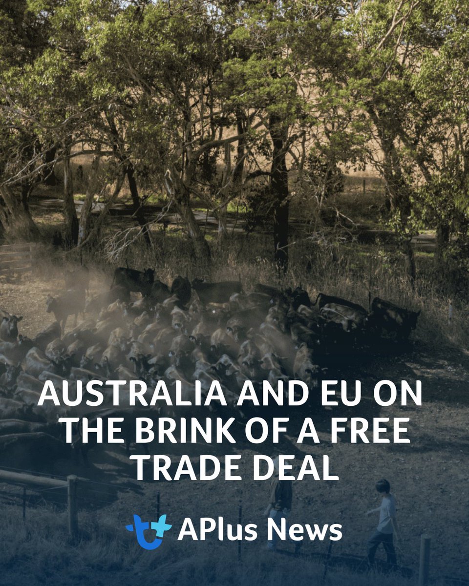 AuctionsPlus tweet media