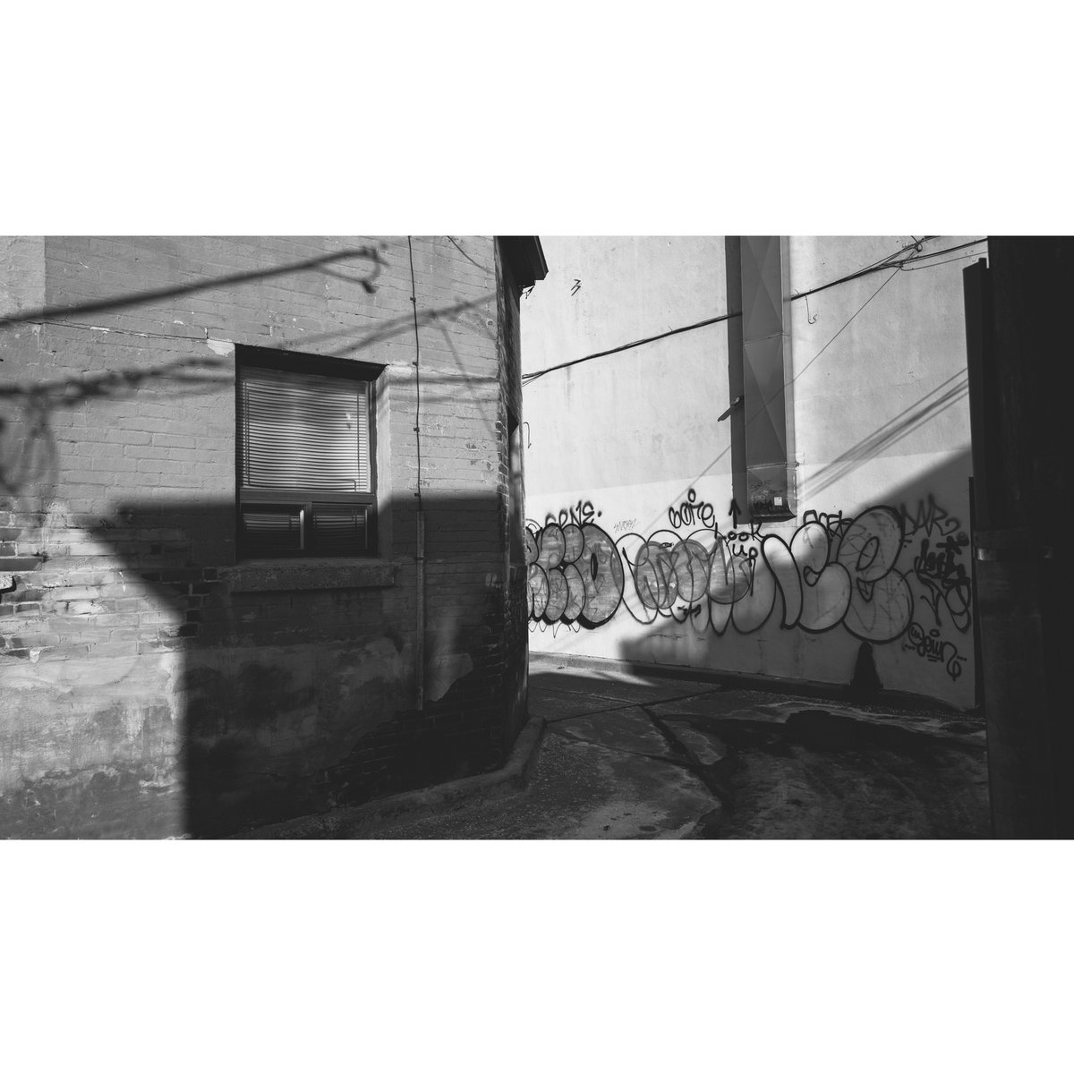 RealJonathanCastellino tweet media